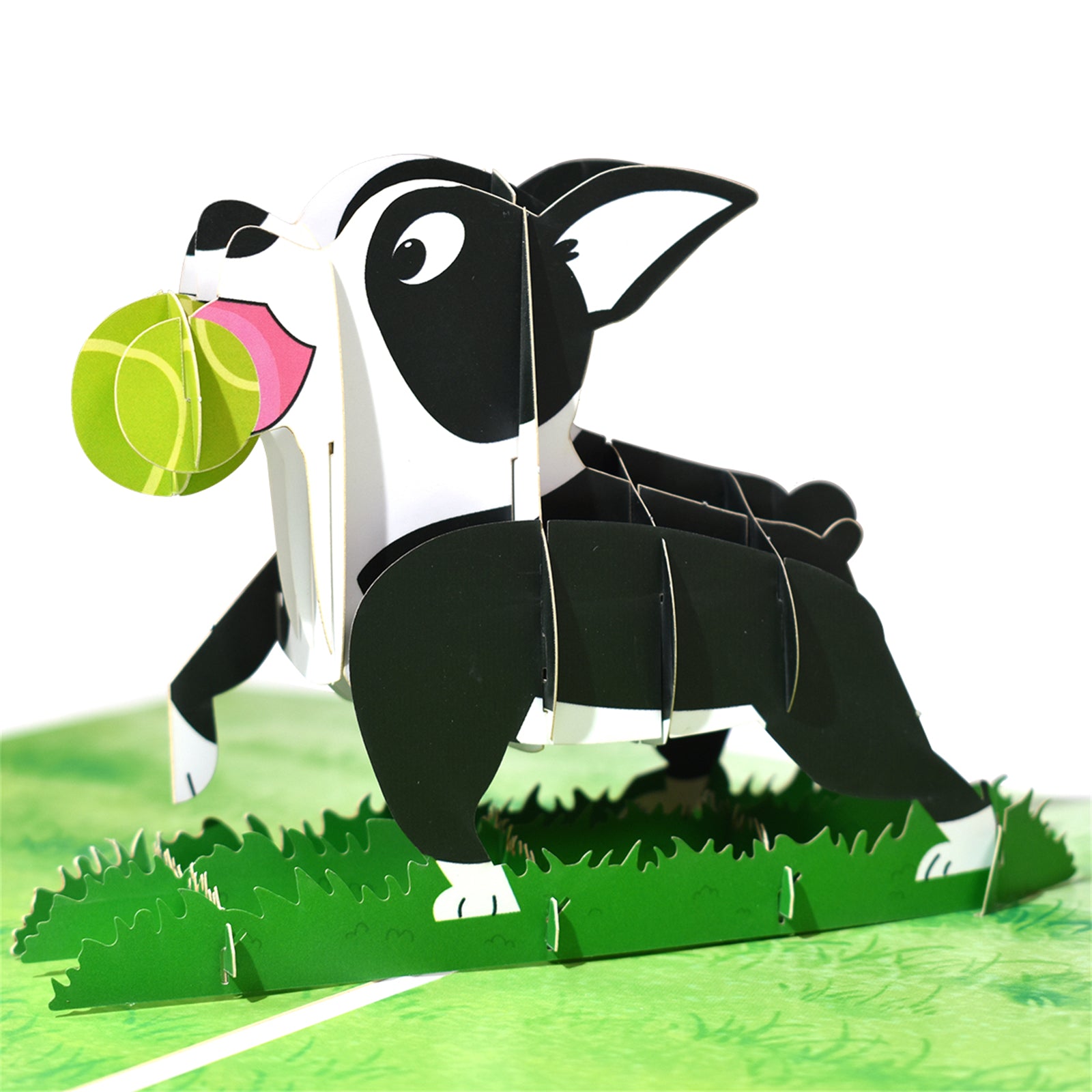 3D Cartoon Boston Terrier Pop Up Card