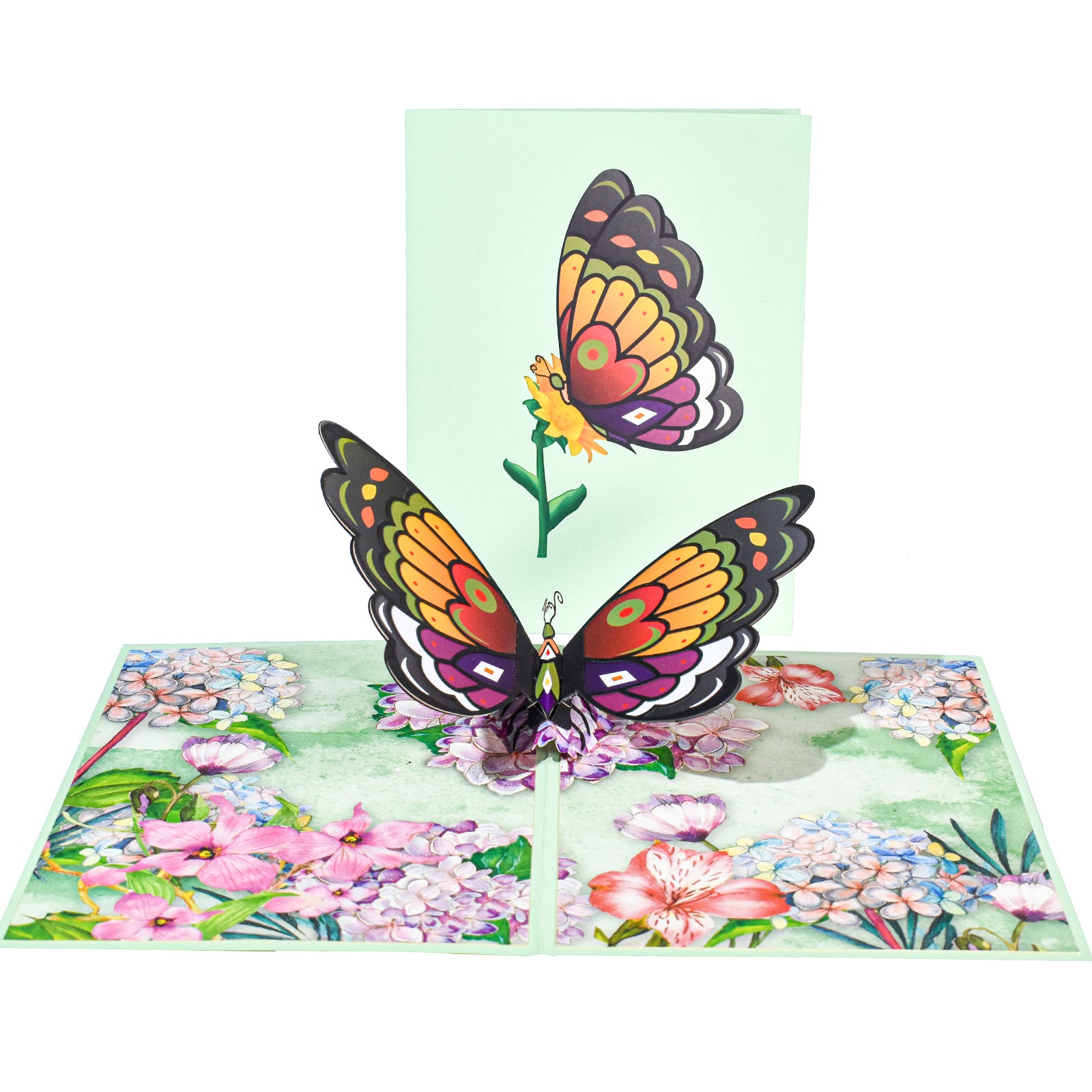 3D Butterfly Pop Up Card